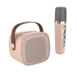 Bluetooth Zvucnik Karaoke